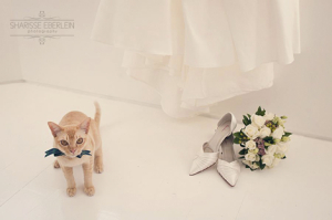 Wedding Photographer Wellington01